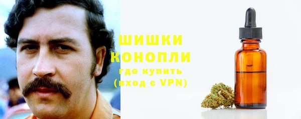 сатива Абаза