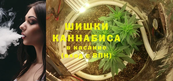 сатива Абаза