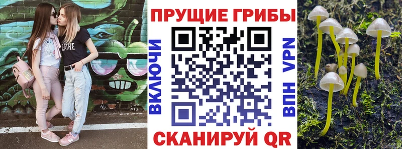 закладки  мориарти формула  Галлюциногенные грибы Psilocybine cubensis  Приволжский  MEGA как войти 